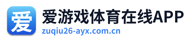 爱游戏体育在线APP